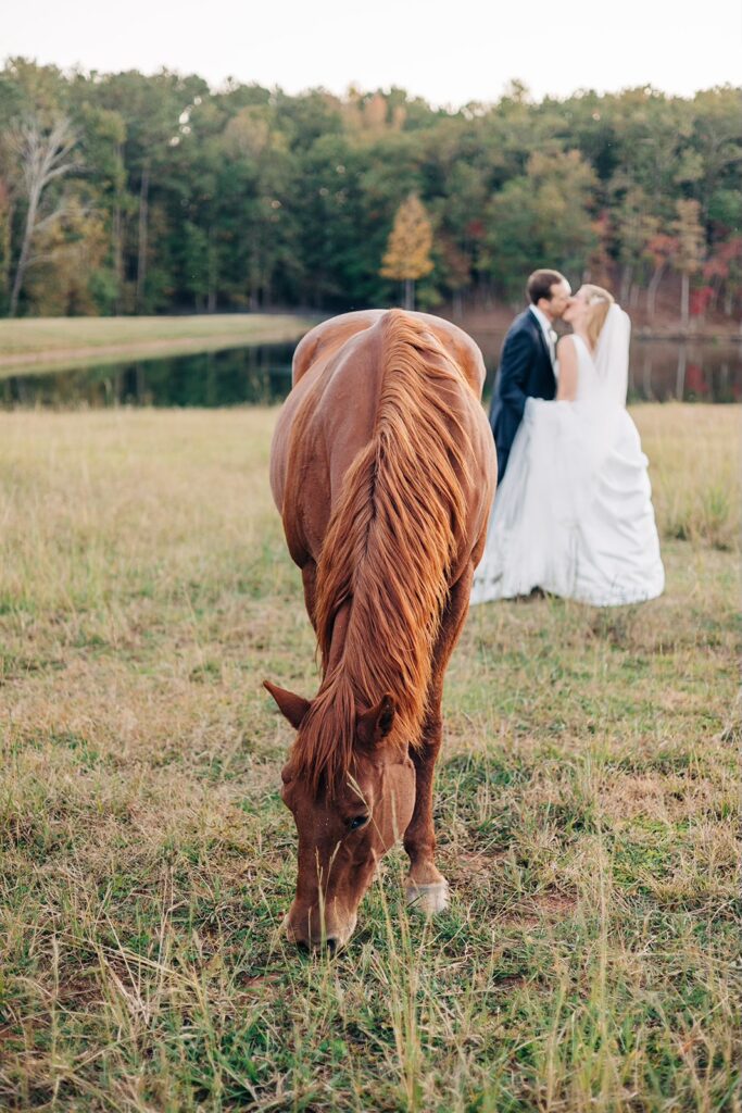 Bride and groom kissing in their wedding venue horse pasture with horse grazing in front of them.