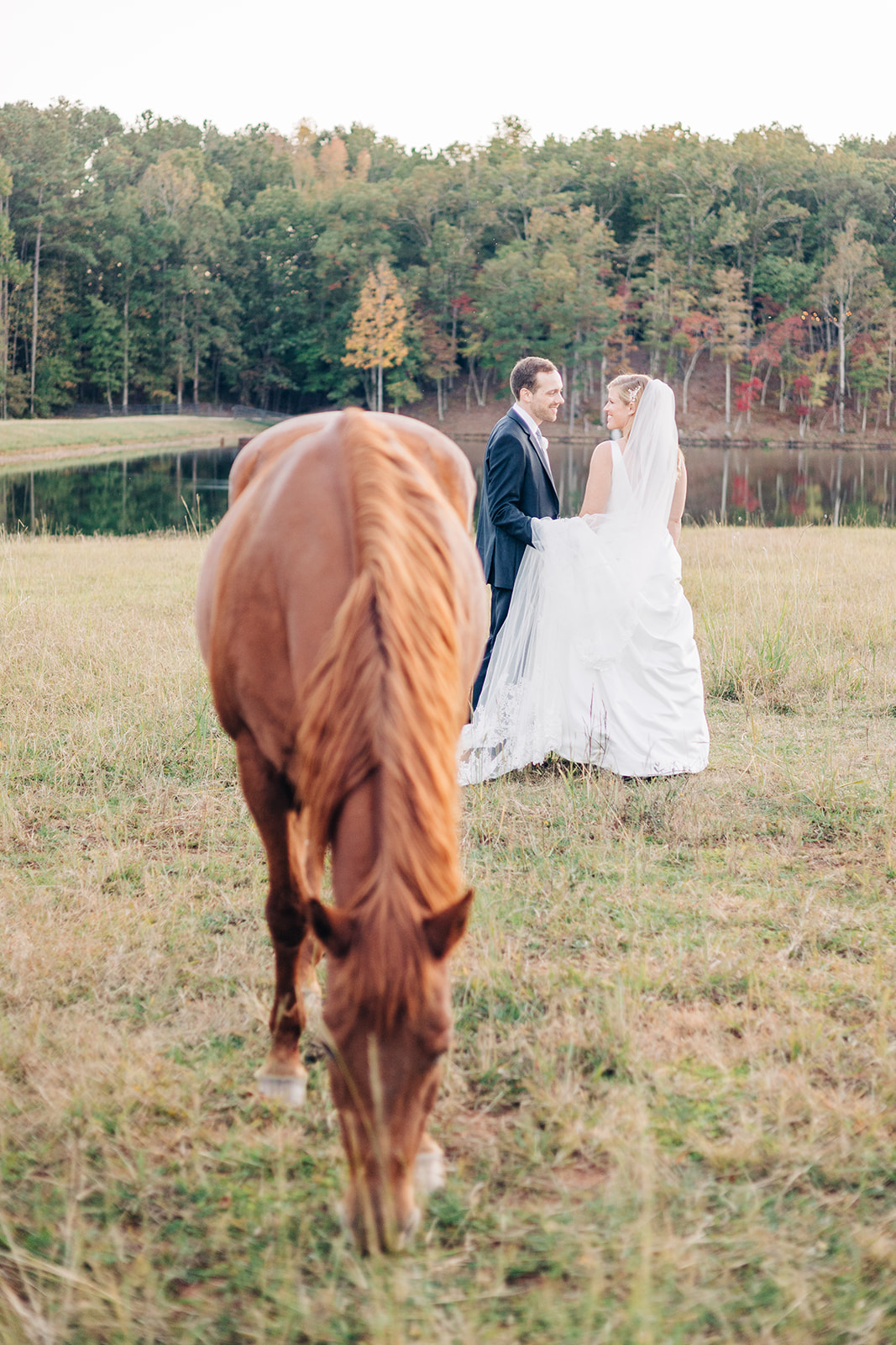 bride and groom kissing in scenic pasture with horse grazing