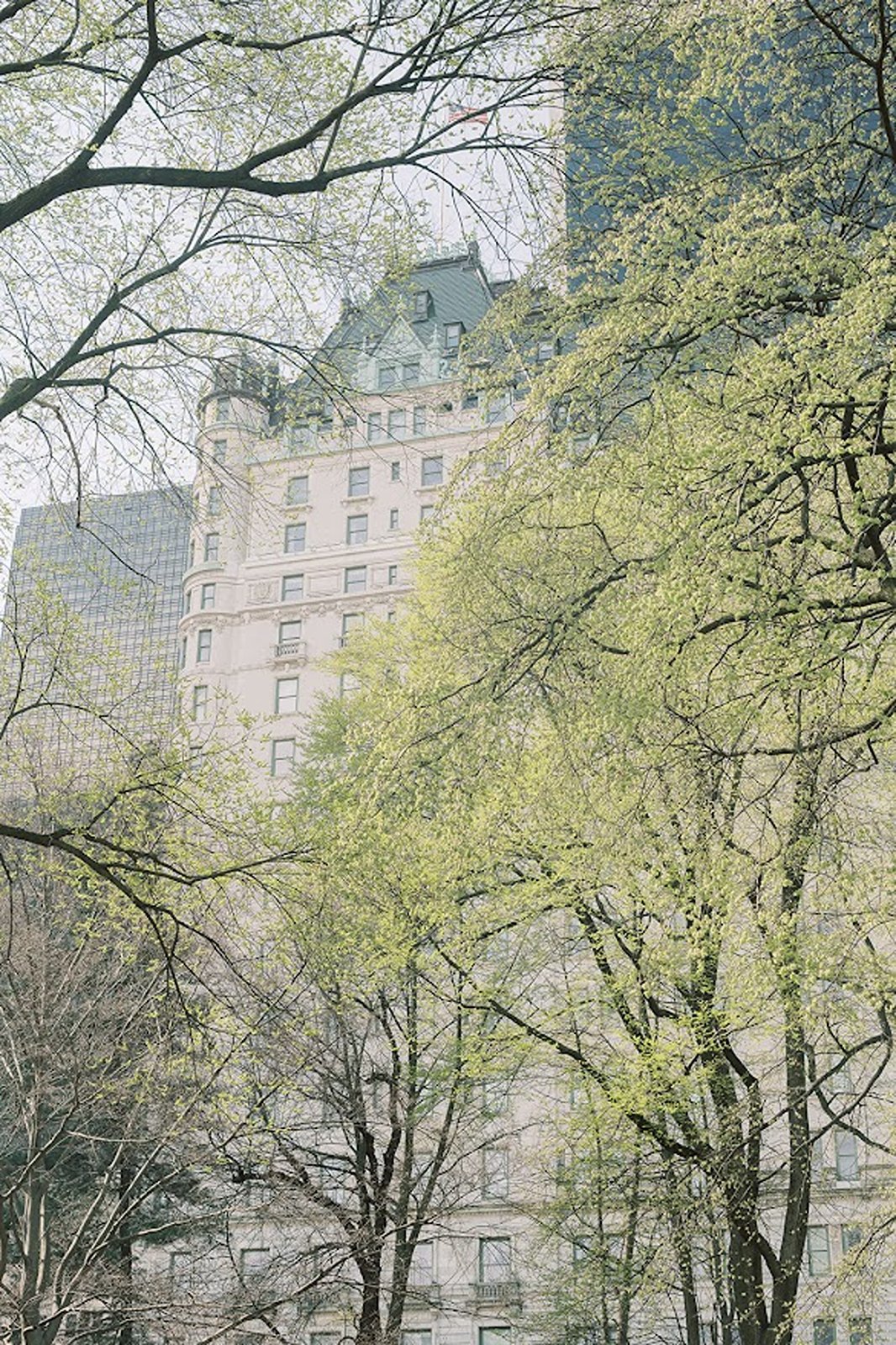 Outside the New York Plaza