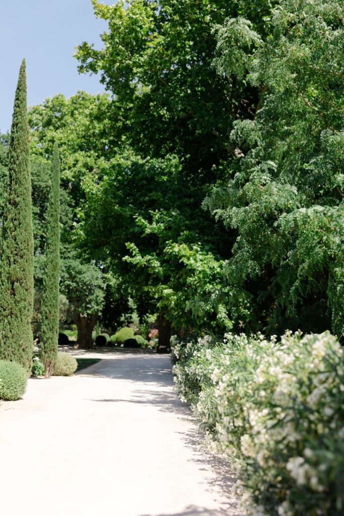Scenic garden pathway lined with cypress trees and blooming shrubs, offering a romantic stroll through the château grounds