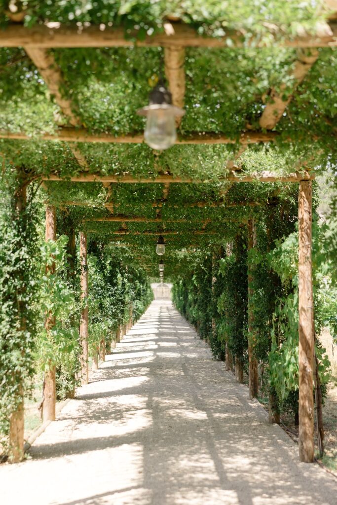 A shaded garden walkway lined with wooden arches and climbing greenery