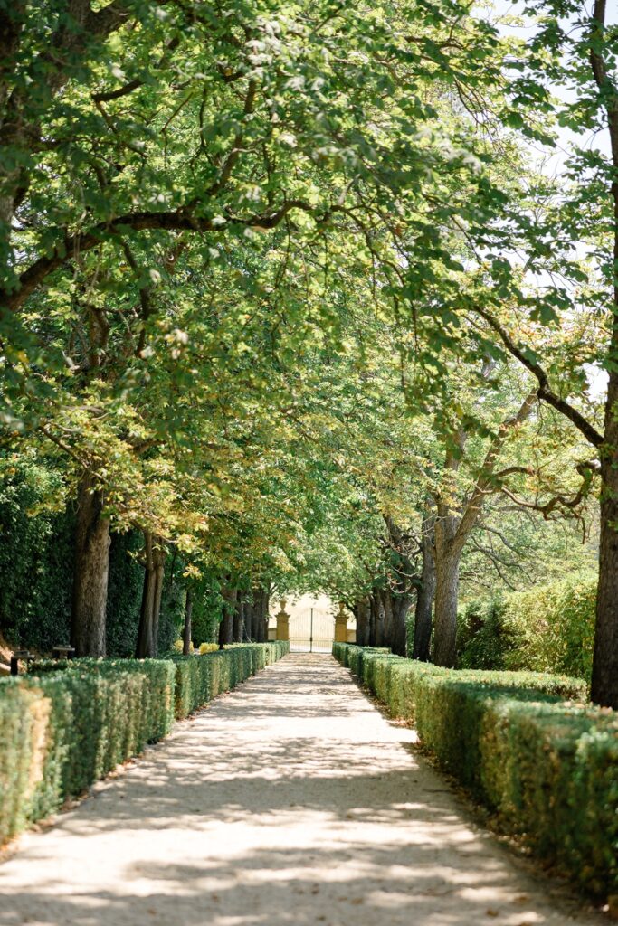 Lush green paths, making the perfect scene for amazing pictures