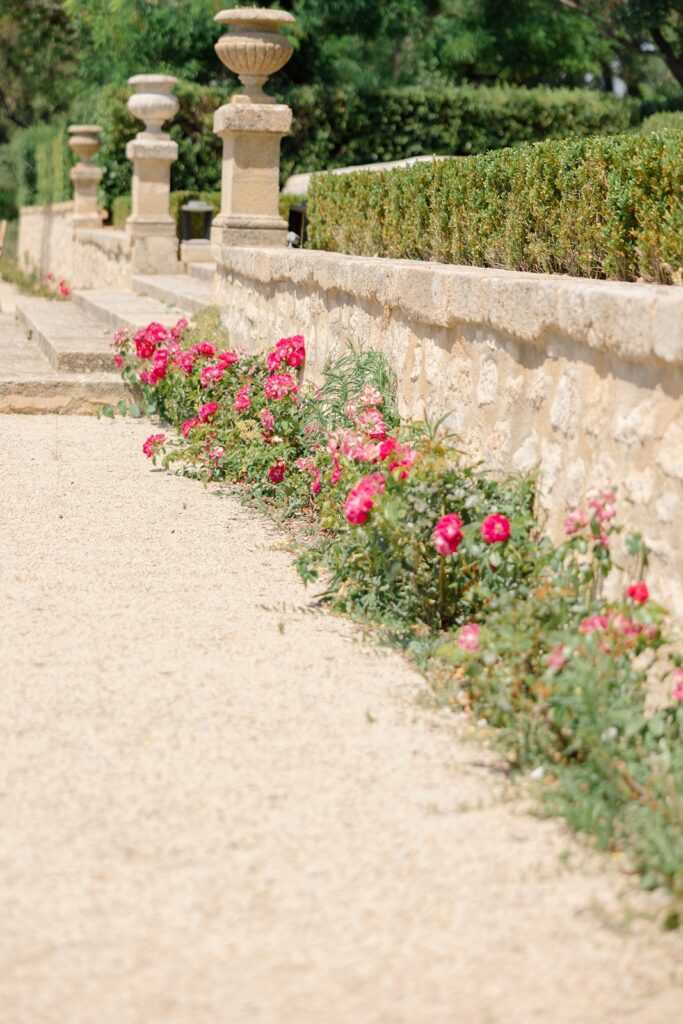 beautiful rose lined walkways