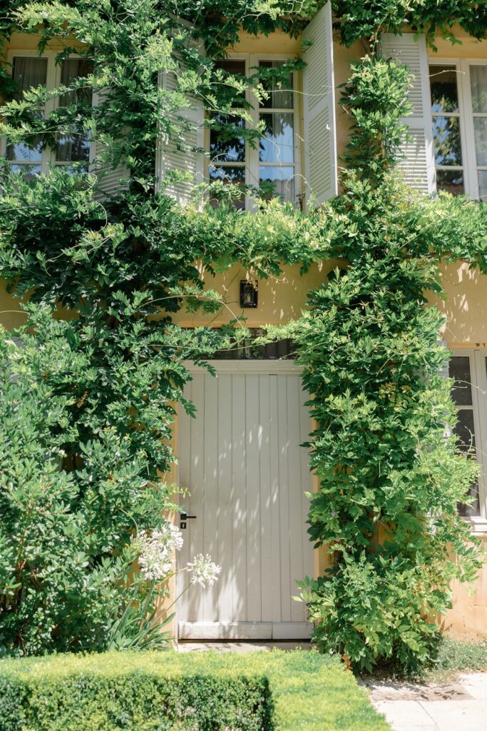 vines climbing walls making perfect framing