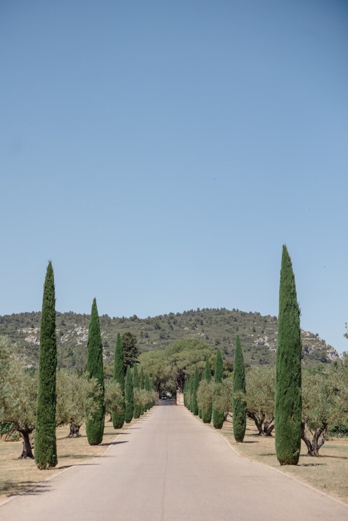Grand driveway lined with cypress trees and olive groves, leading through the Provençal countryside to the château